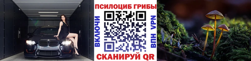 Псилоцибиновые грибы прущие грибы  МЕГА вход  Жирновск 
